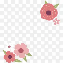 粉色蔷薇花装饰