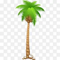 一棵椰树