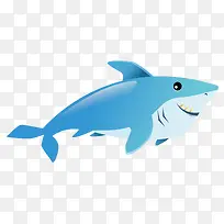 蓝色反光扁平鲨鱼