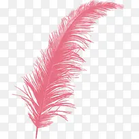 羽毛翅膀素材 粉色羽毛