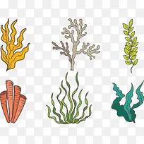 海洋海带植物合集