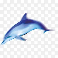 夏日海报卡通手绘蓝色鲸鱼