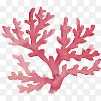 美丽手绘红色珊瑚