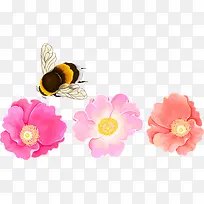 三只花朵红色花蜜蜂