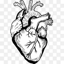 手绘心脏设计矢量素材