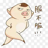 可爱小肥猪