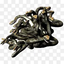 一窝毒蛇