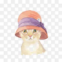 戴帽子的小猫