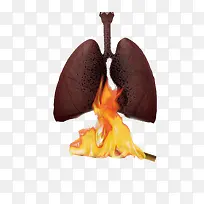 吸烟者被烟和火熏烤的肺部