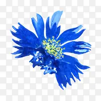 蓝色手绘的花朵装饰