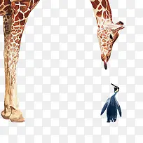 长颈鹿企鹅趣味组合素材图片