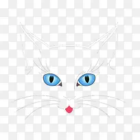 蓝眼睛的猫鼻子