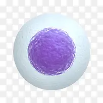 3D卵细胞立体插画