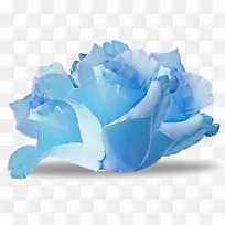 手绘水彩蓝色纸花