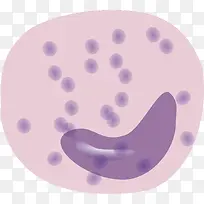 矢量图水彩紫色细胞