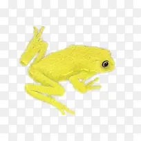 黄色青蛙