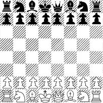 黑白国际象棋
