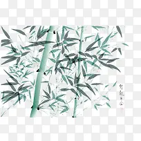 清秀的竹子