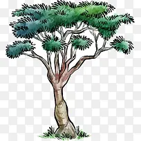 手绘水彩树林绿色树设计元素