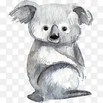 灰色的呆萌考拉