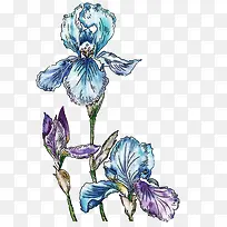 创意守护蓝色的花朵效果素描