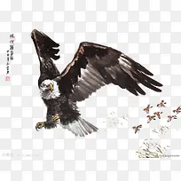 手绘大鹏