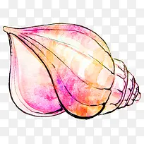 橙色海螺壳