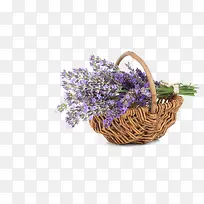 装在篮子里的紫色薰衣草