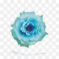 蓝色花卉化妆品海报背景