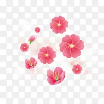 桃花樱花粉色花朵