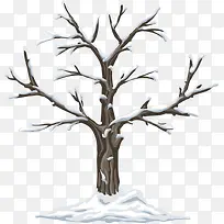 冬天的枯树