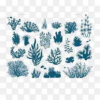 珊瑚和藻类的蓝色轮廓