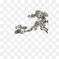 中国画松树