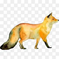 狐狸散步微笑水彩画