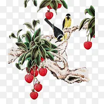 荔枝树上的两只黄鹂国画