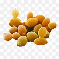黄色酵母孢子图片素材