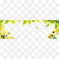 绿色树枝树叶花朵边框纹理