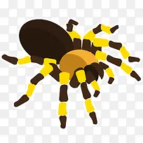 多脚斑斓色彩的有毒蜘蛛