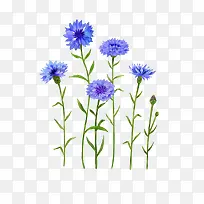 蓝色手绘的花朵装饰
