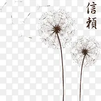 漂浮的蒲公英矢量图