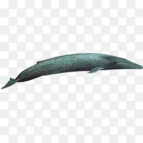 创意手绘合成深海鲸鱼