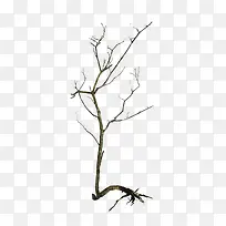 黑色干枯的树枝根根