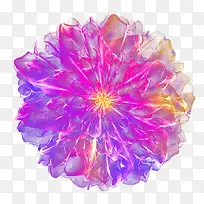 梦幻紫色花朵顶视图