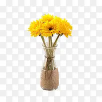 金黄色植物花朵花瓶