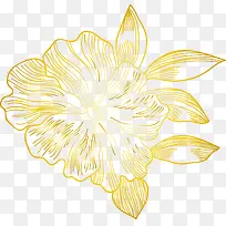 金色花朵矢量素材图