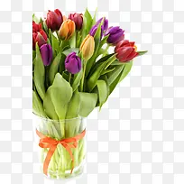 唯美郁金香花盘图片