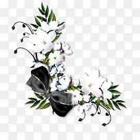 白色花卉黑色蝴蝶结装饰