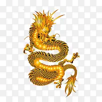一条金龙