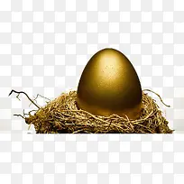 鸟巢金色蛋