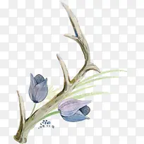 鹿角蓝色花卉